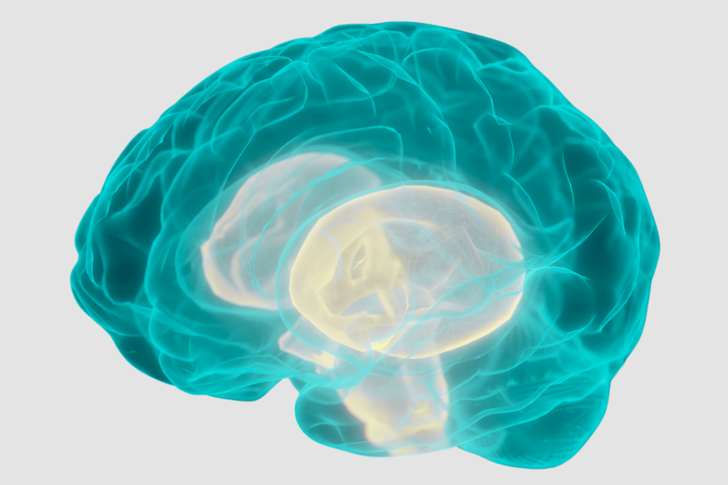 Graphic of brain with amygdala lit