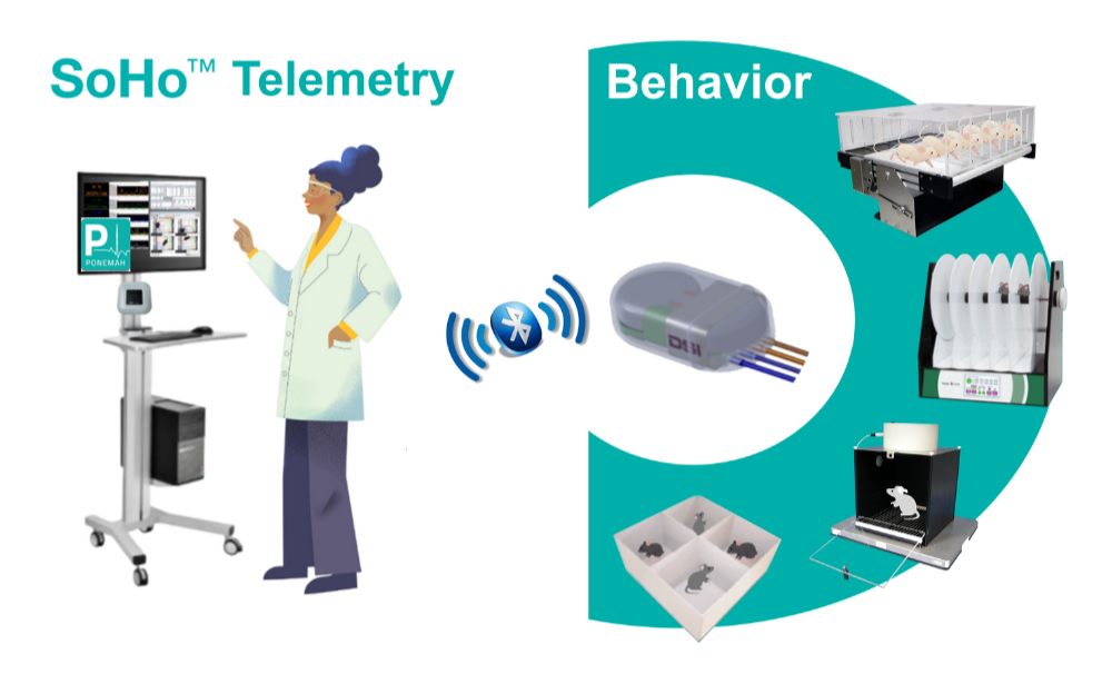 Integrated SoHo implantable telemetry and behavioral testing setup for preclinical Alzheimer's research