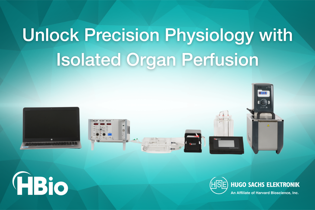 Isolated organ system photo with Unlock Precision Physiology with Isolated Organ Perfusion caption