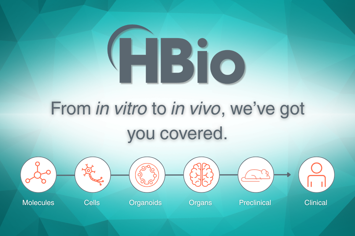 From in vitro to in vivo, HBio has you covered.