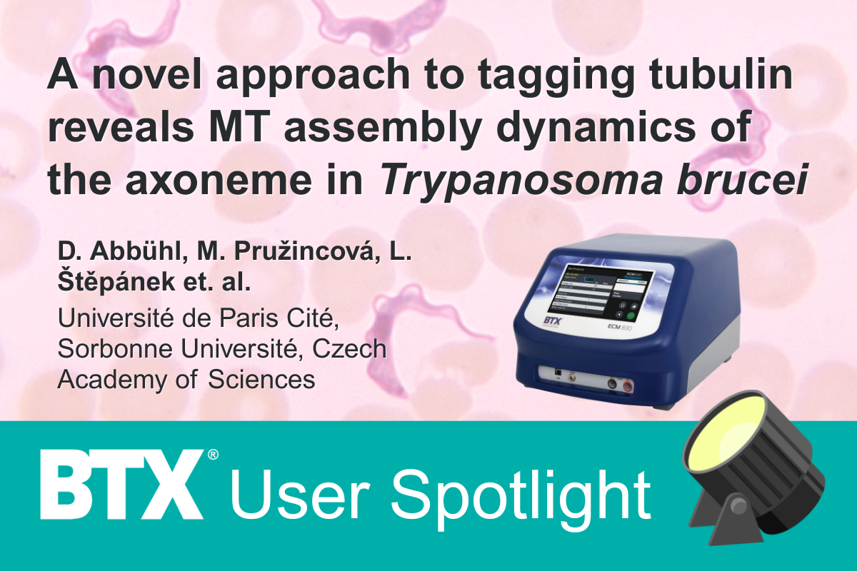 BTX User Spotlight: A novel approach to tagging tubulin reveals MT assembly dynamics of the  axoneme in Trypanosoma brucei