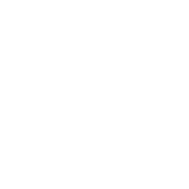 Icon-Mouse