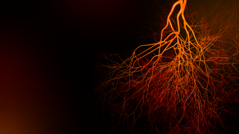 Cardiovascular Application hero image