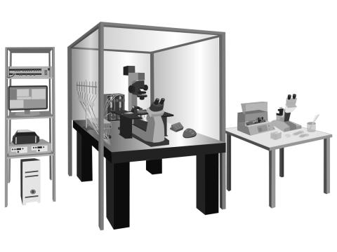 HEKA and Warner Patch Clamp Rig - HBio