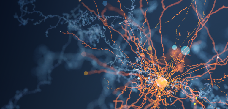 Neuroscience Application homepage